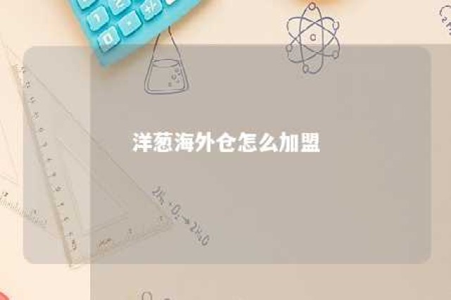 洋葱海外仓怎么加盟 洋葱海外仓怎样加盟